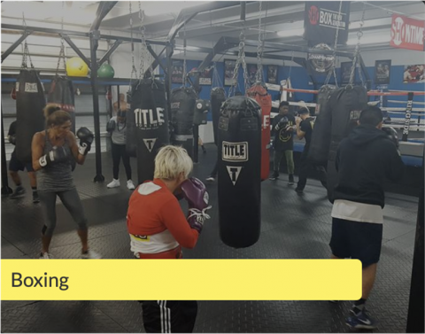 Palm Beach Boxing & MMA West Palm Beach, Florida